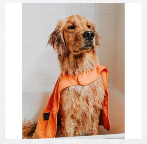 Tall Tails Towel
